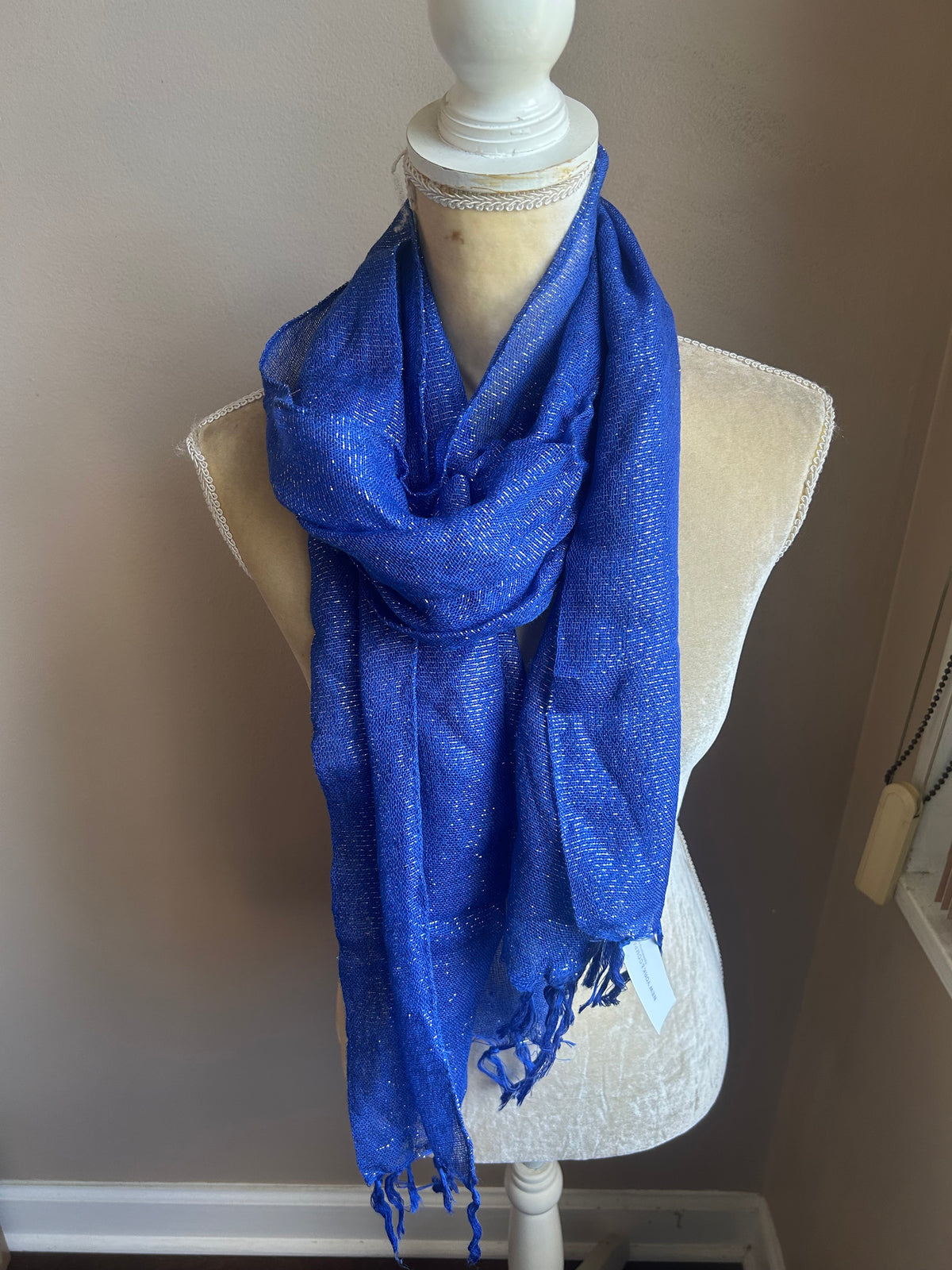 New York & Company Women’s Blue Shimmery Scarf Fringed New 5000-3102