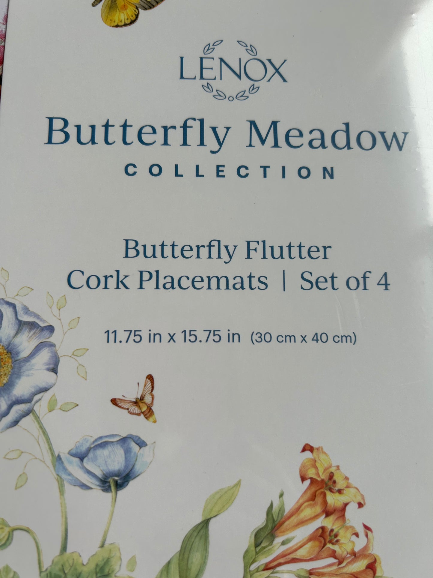 Lenox Cork Placemats Butterfly Flutter Floral Birds New