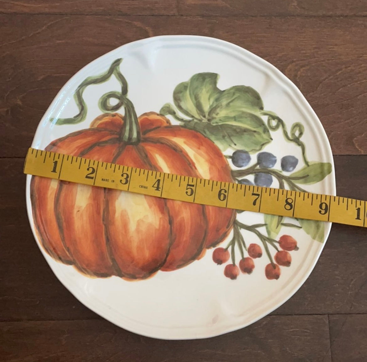 NEW Maxcera Set Of 4 Pumpkin Thanksgiving Salad Plates