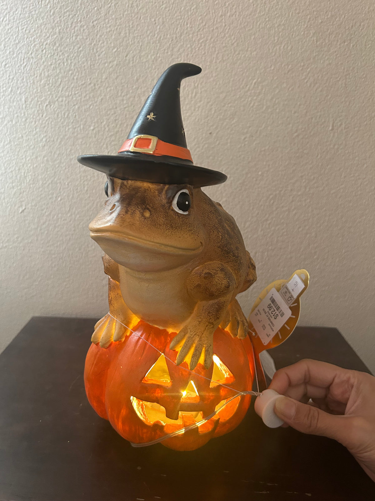 New Witch Frog On Pumpkin Halloween Figurine Light Up Jackolantern