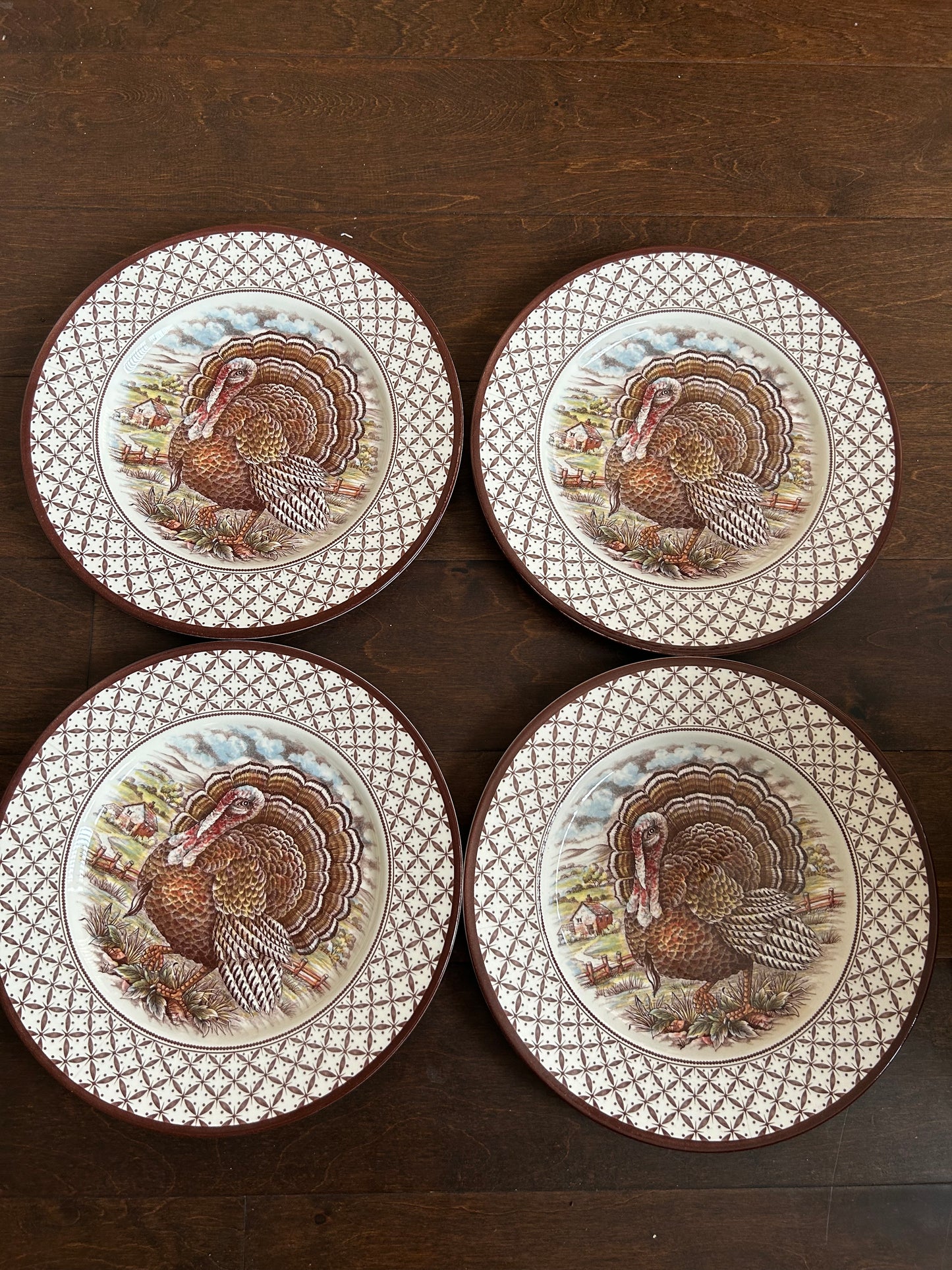 Royal Stafford England Turkey Thanksgiving 2 Dinner Plates New Victorian