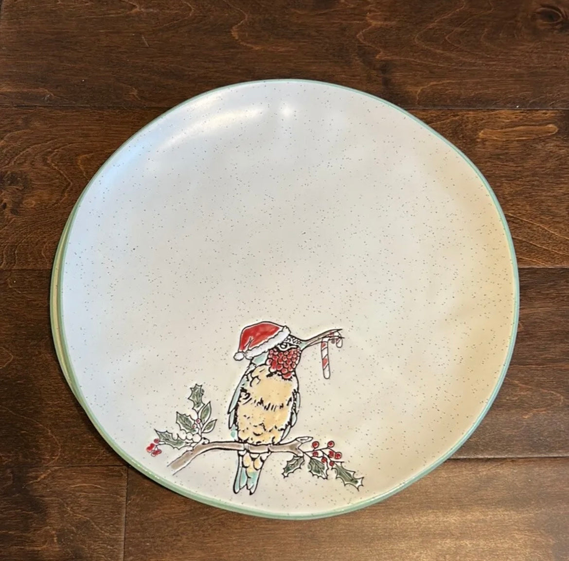 Eli & Ana Set Of 6 Christmas Hummingbird Santa Hat Dinner Plates Candy Cane