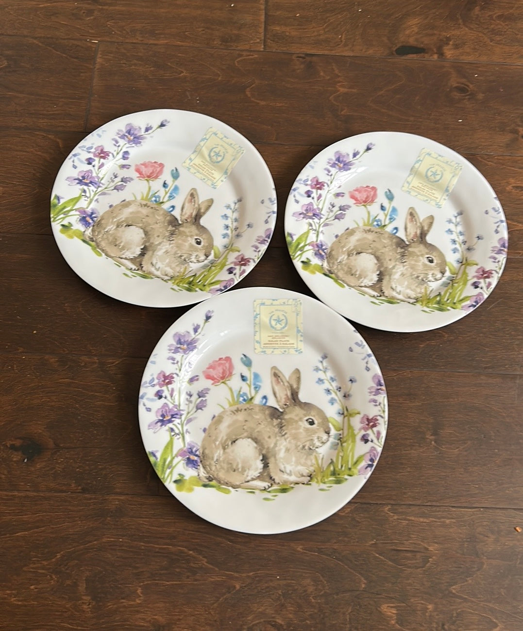 Rachel Ashwell Set Of 3 Melamine Salad  Plates Bunny Easter Floral