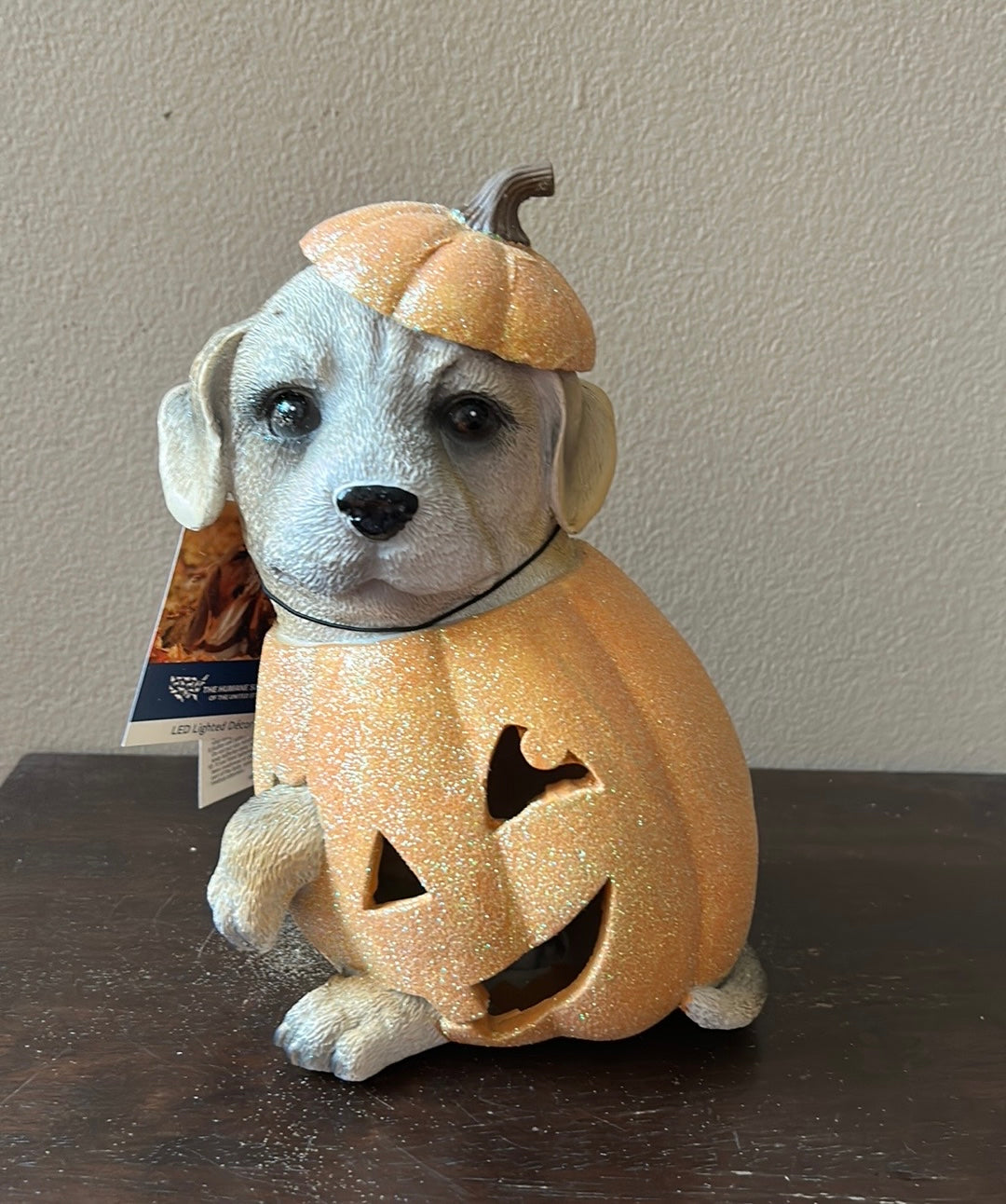 Cute puppy Lab Dog in Pumpkin Halloween Decor Led Light Up 10” Tall