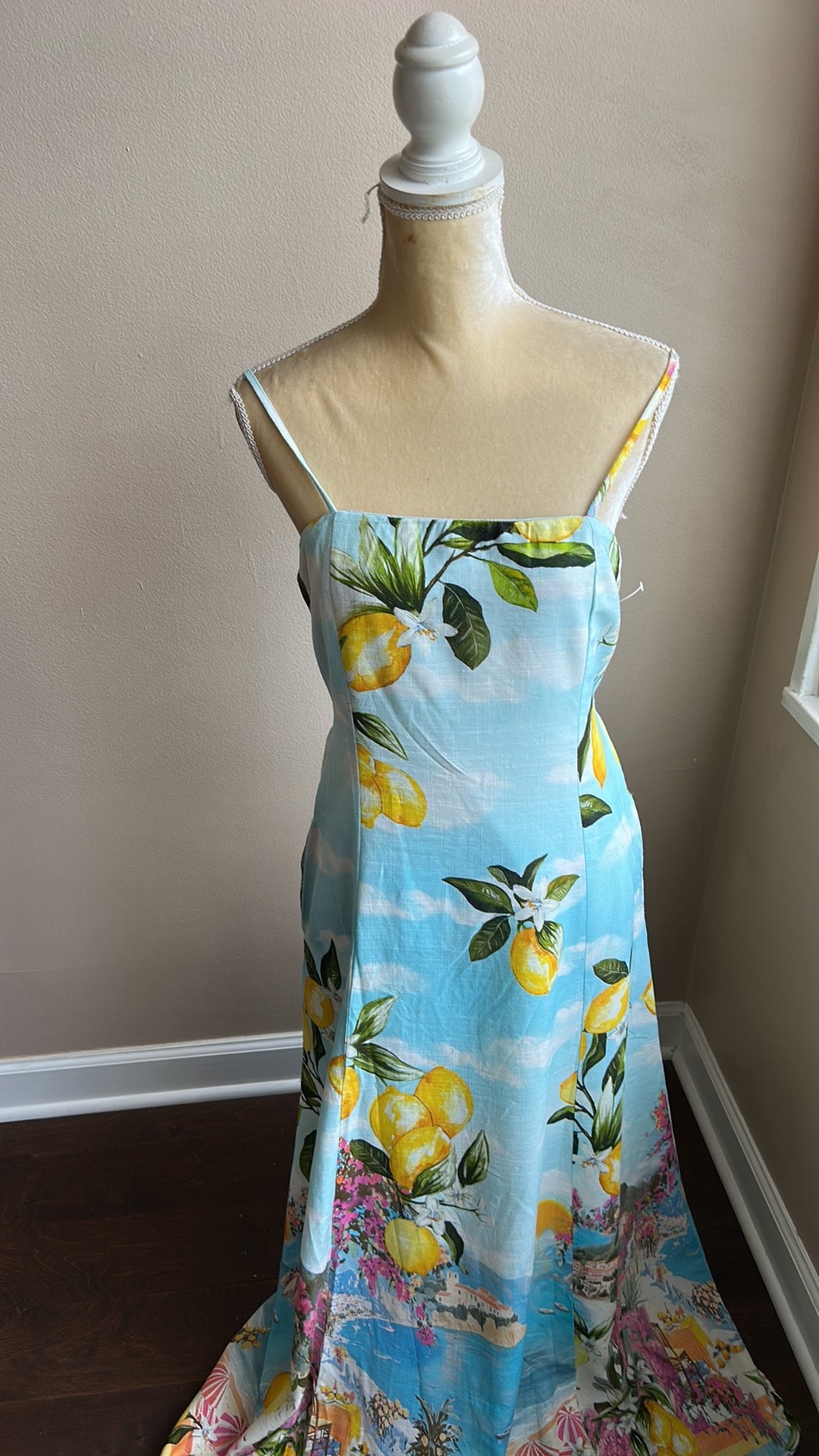 Paper Heart Women Maxi Dress Lemons New Floral Mediterranean Linen Blend