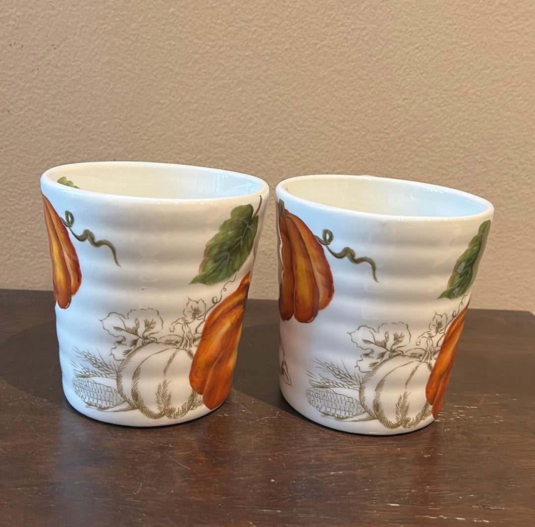 Maxcera Coffee Mugs Set Of 2 Cups New Pumpkins Fall Thanksgiving