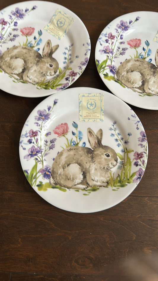 Rachel Ashwell Set Of 3 Melamine Salad  Plates Bunny Easter Floral