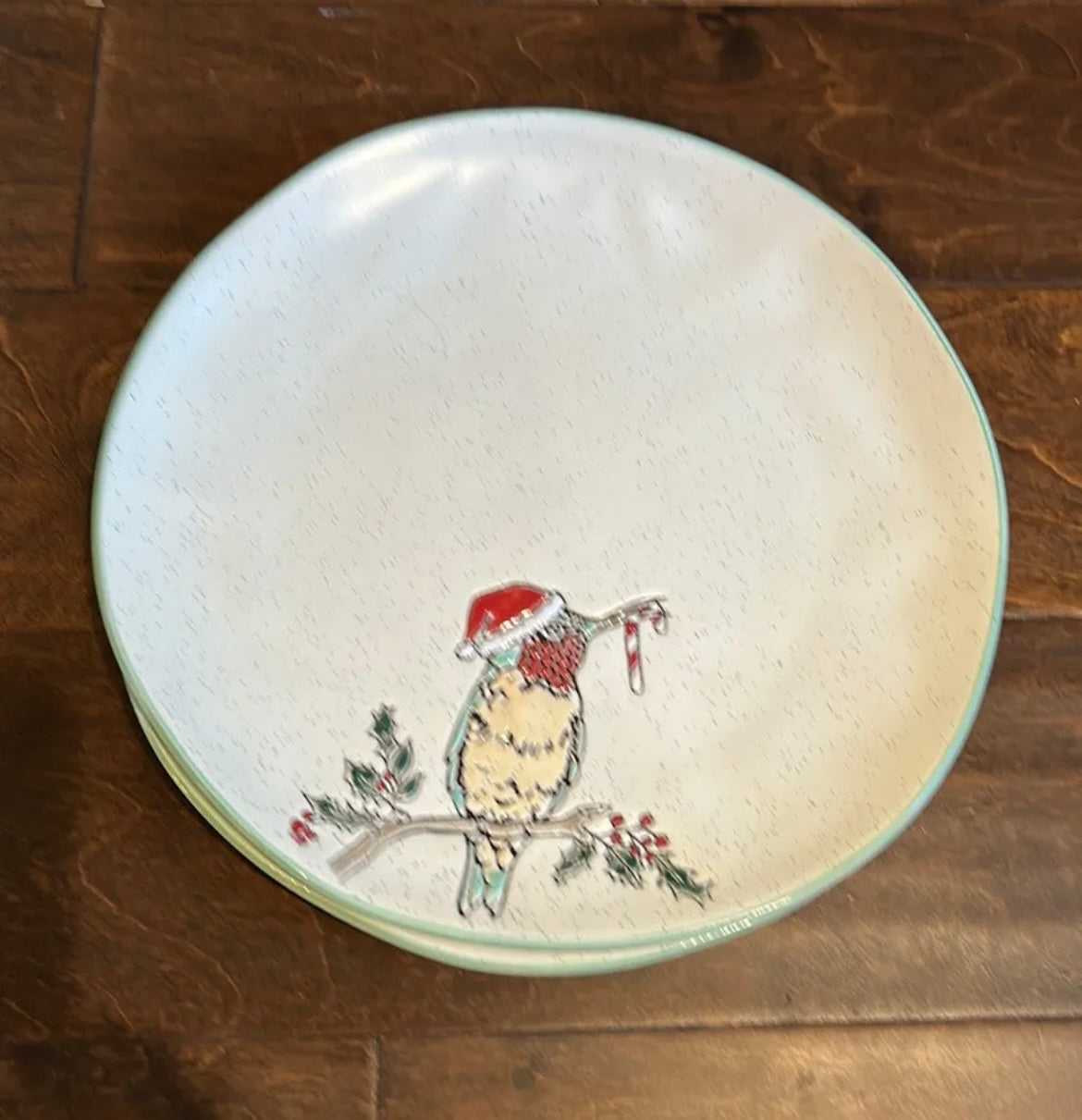 Eli & Ana Set Of 6 Christmas Hummingbird Santa Hat Dinner Plates Candy Cane