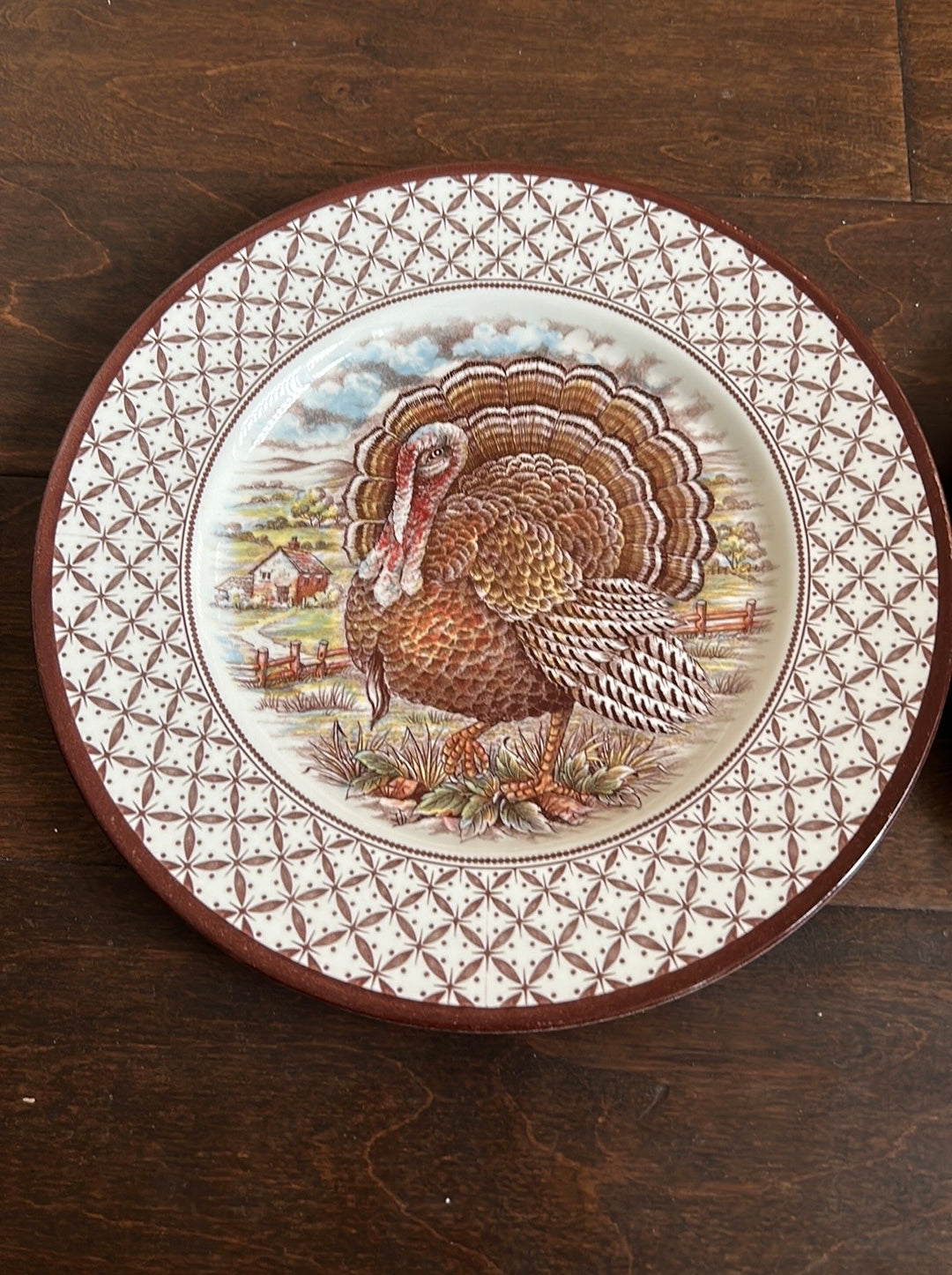 Royal Stafford England Turkey Thanksgiving 2 Dinner Plates New Victorian