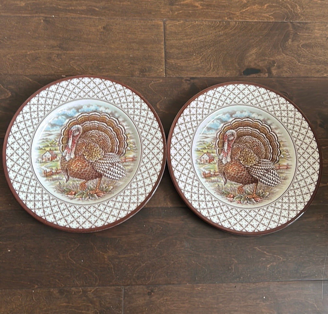 Royal Stafford England Turkey Thanksgiving 2 Dinner Plates New Victorian