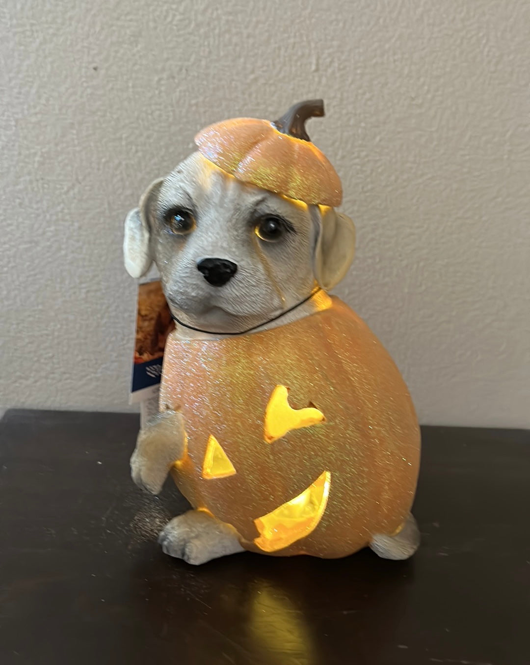 Cute puppy Lab Dog in Pumpkin Halloween Decor Led Light Up 10” Tall