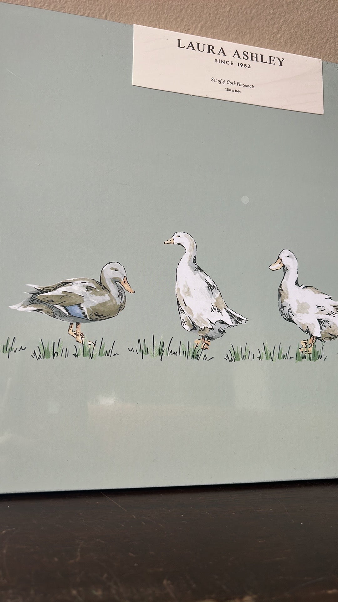 Laura Ashley Set Of 4 Cork Placemats New Ducks Spring Easter