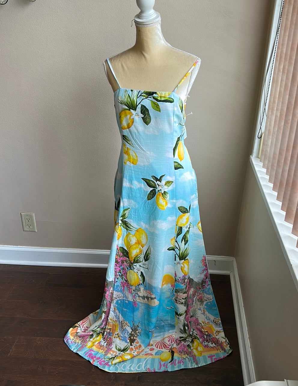 Paper Heart Women Maxi Dress Lemons New Floral Mediterranean Linen Blend