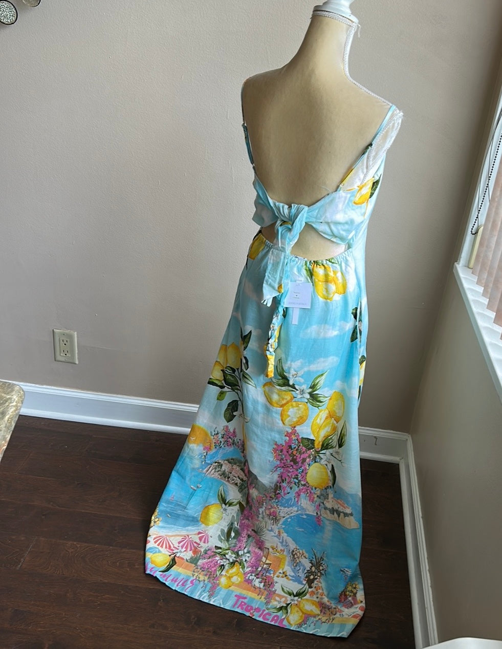 Paper Heart Women Maxi Dress Lemons New Floral Mediterranean Linen Blend