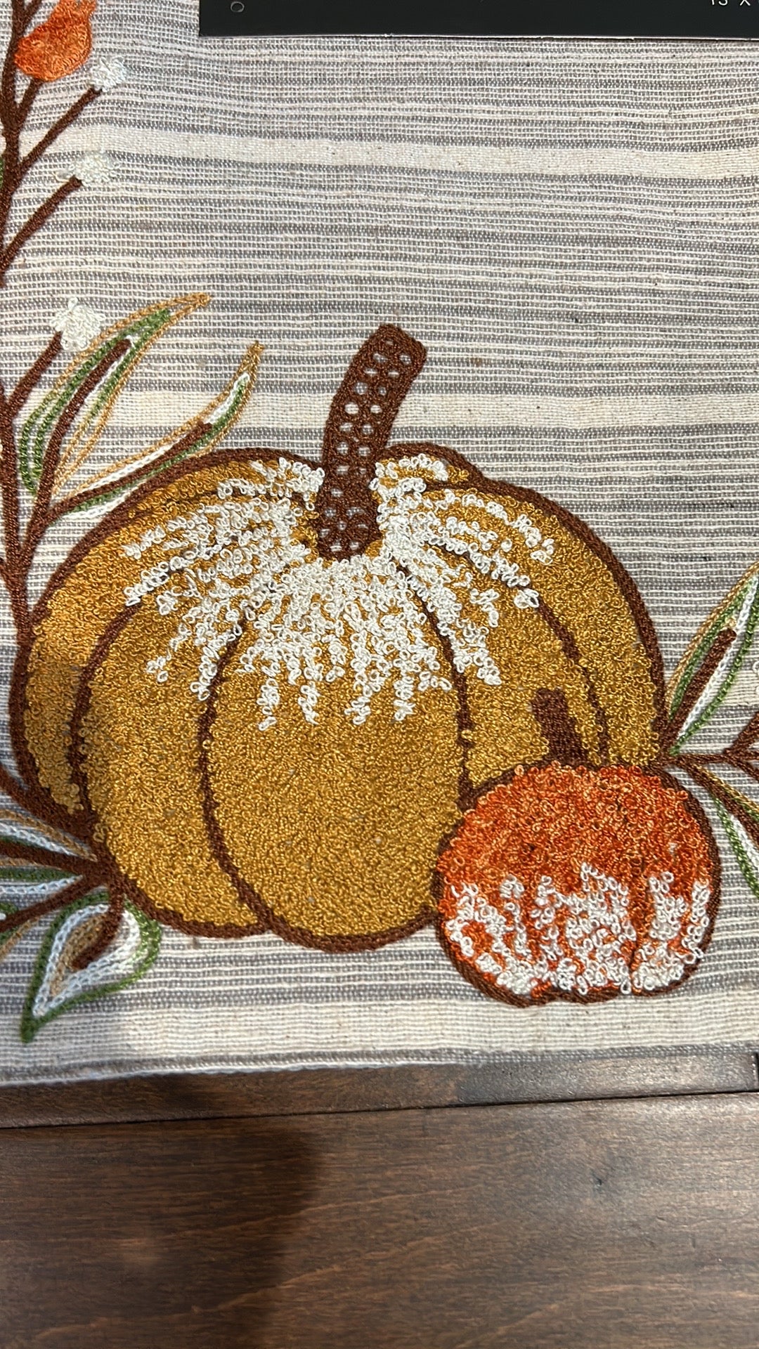 Rachel Zoe Set of 4 Embroidered Placemats Fall Pumpkin New