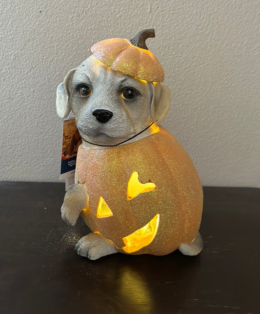 Cute puppy Lab Dog in Pumpkin Halloween Decor Led Light Up 10” Tall