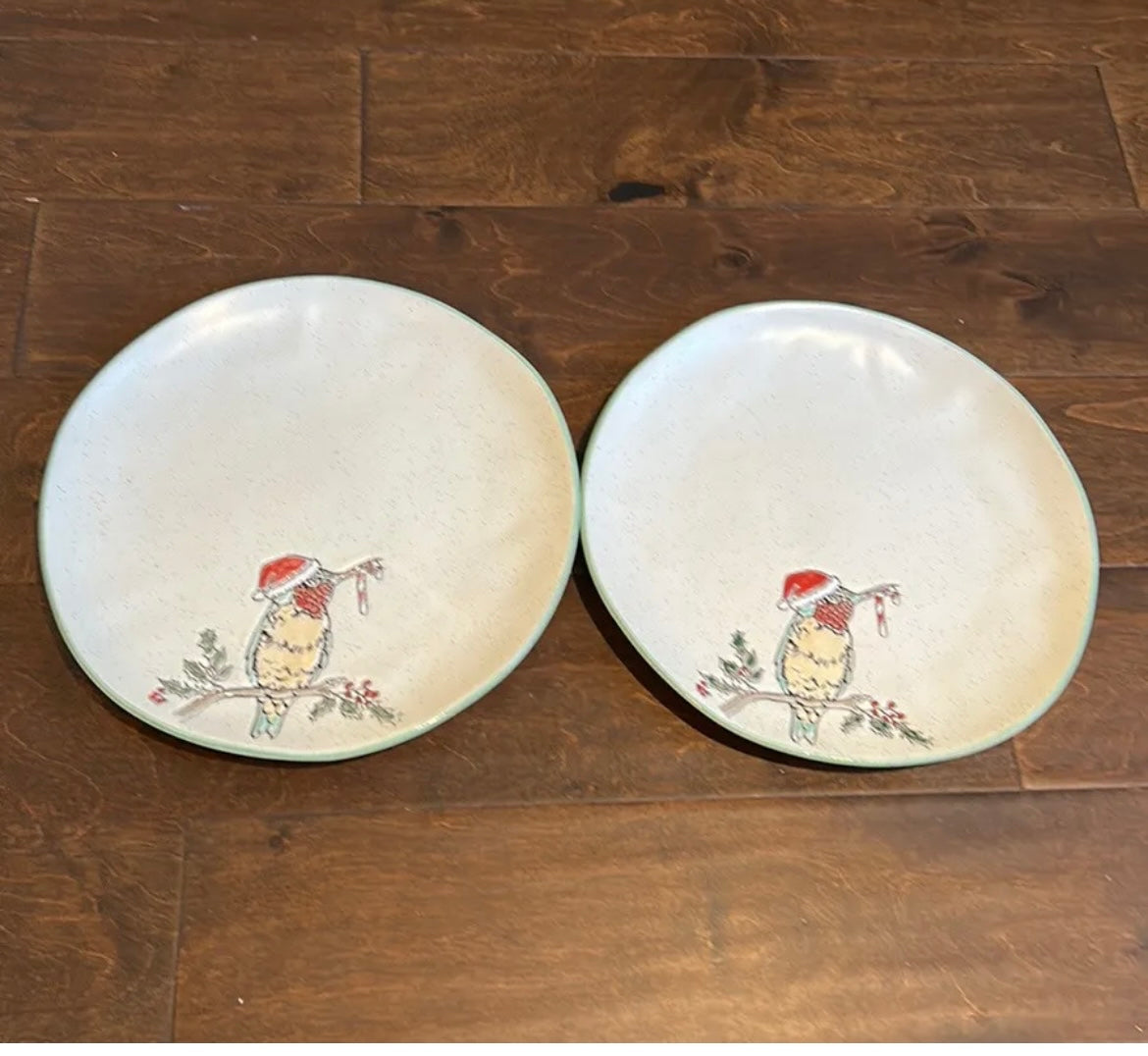 Eli & Ana Set Of 6 Christmas Hummingbird Santa Hat Dinner Plates Candy Cane