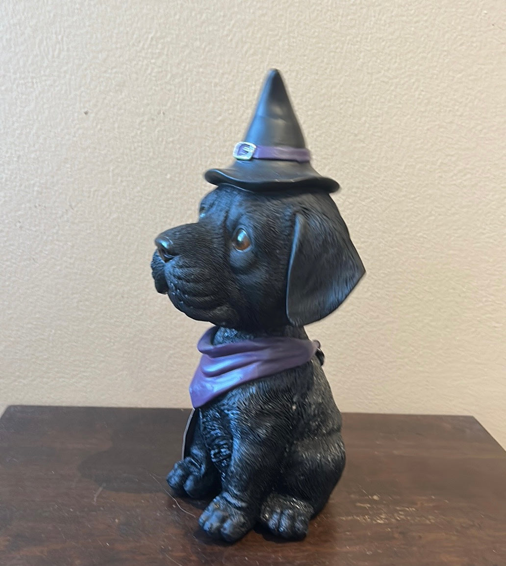 Cute Black Halloween Bobble head Dog New Witch Hat -Amyshandicrafts