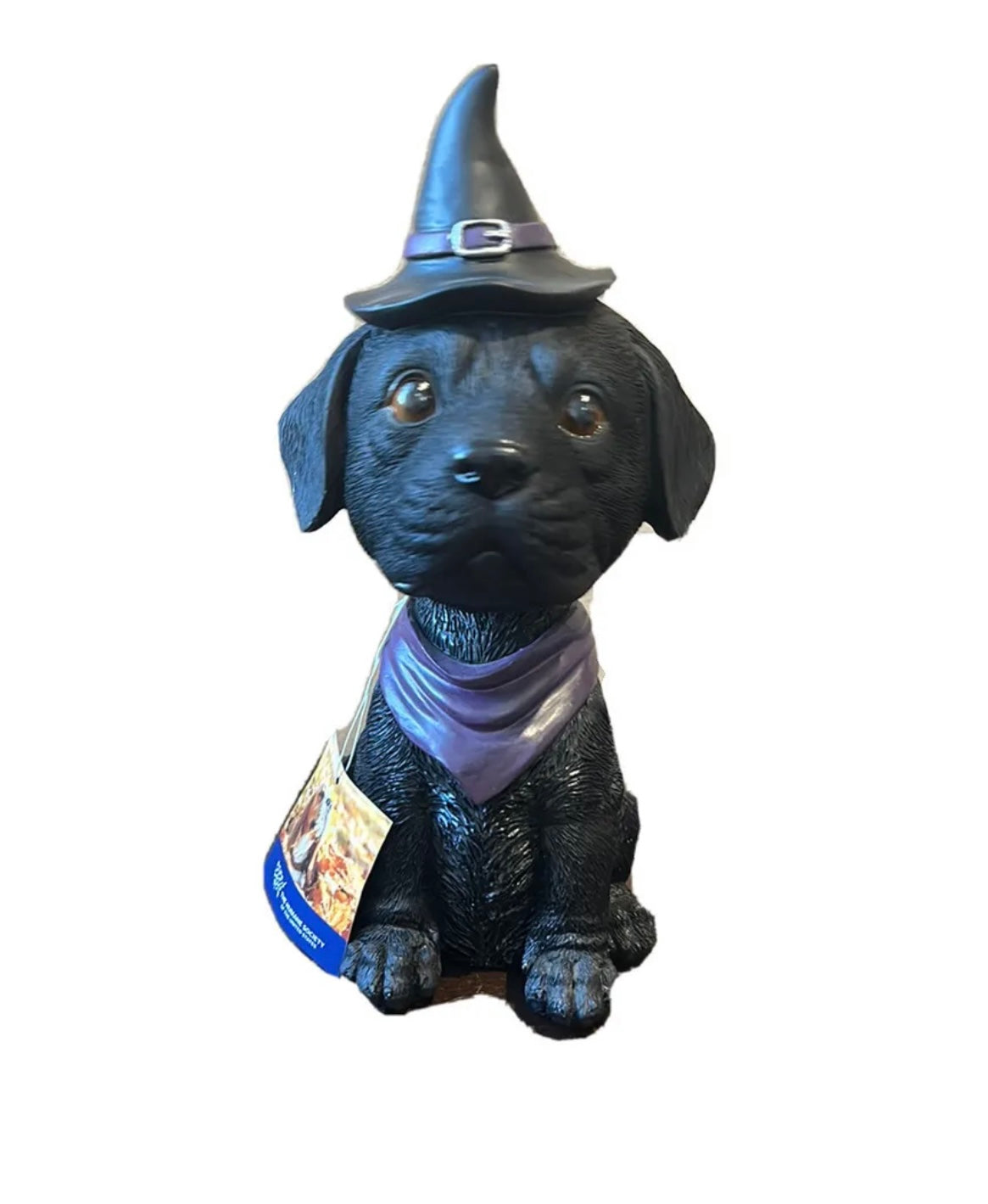 Cute Black Halloween Bobble head Dog New Witch Hat -Amyshandicrafts