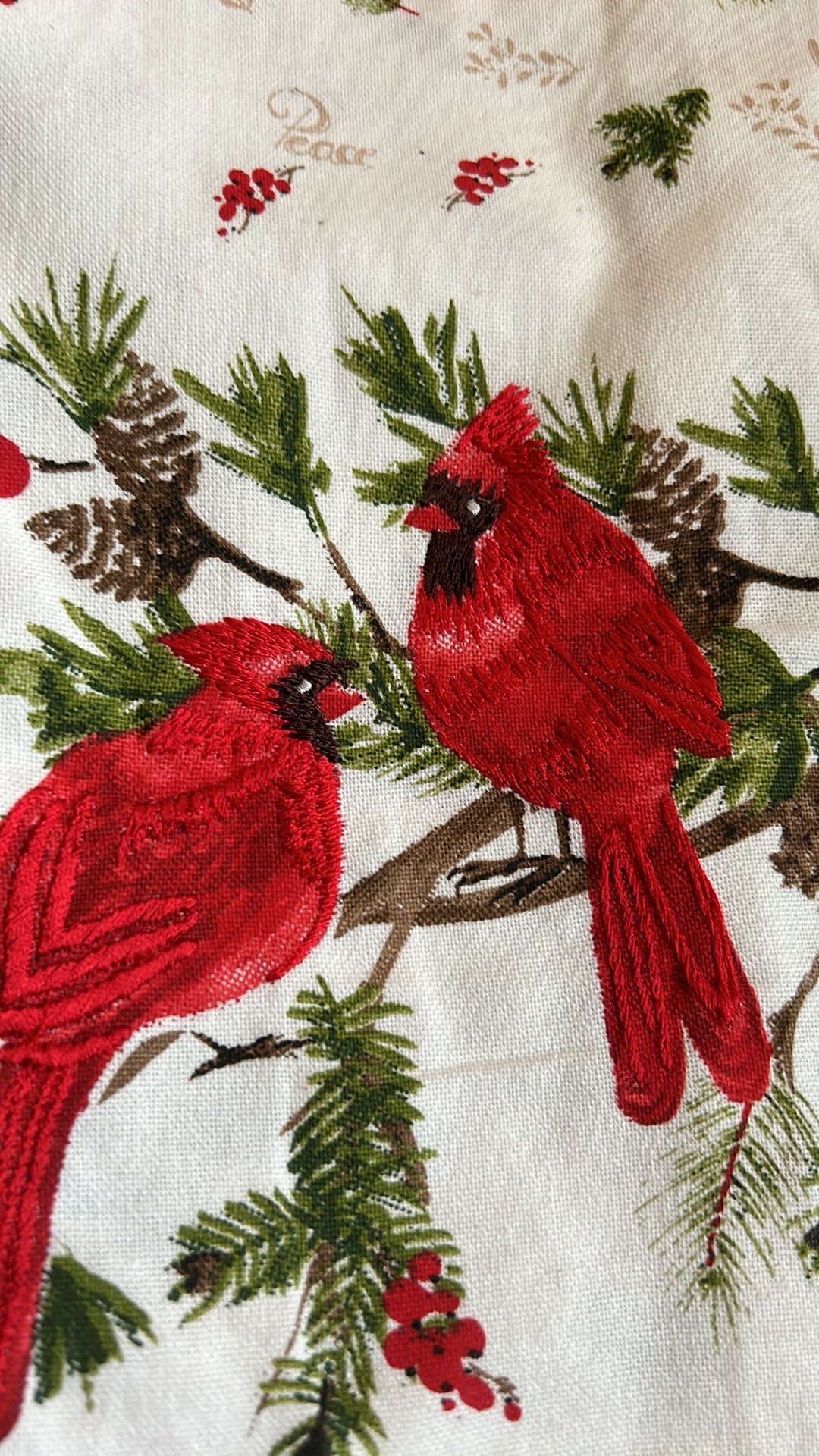 Rachel Ashwell Set Of 3 Kitchen Towels Red Cardinals Holly Berry New Plaid