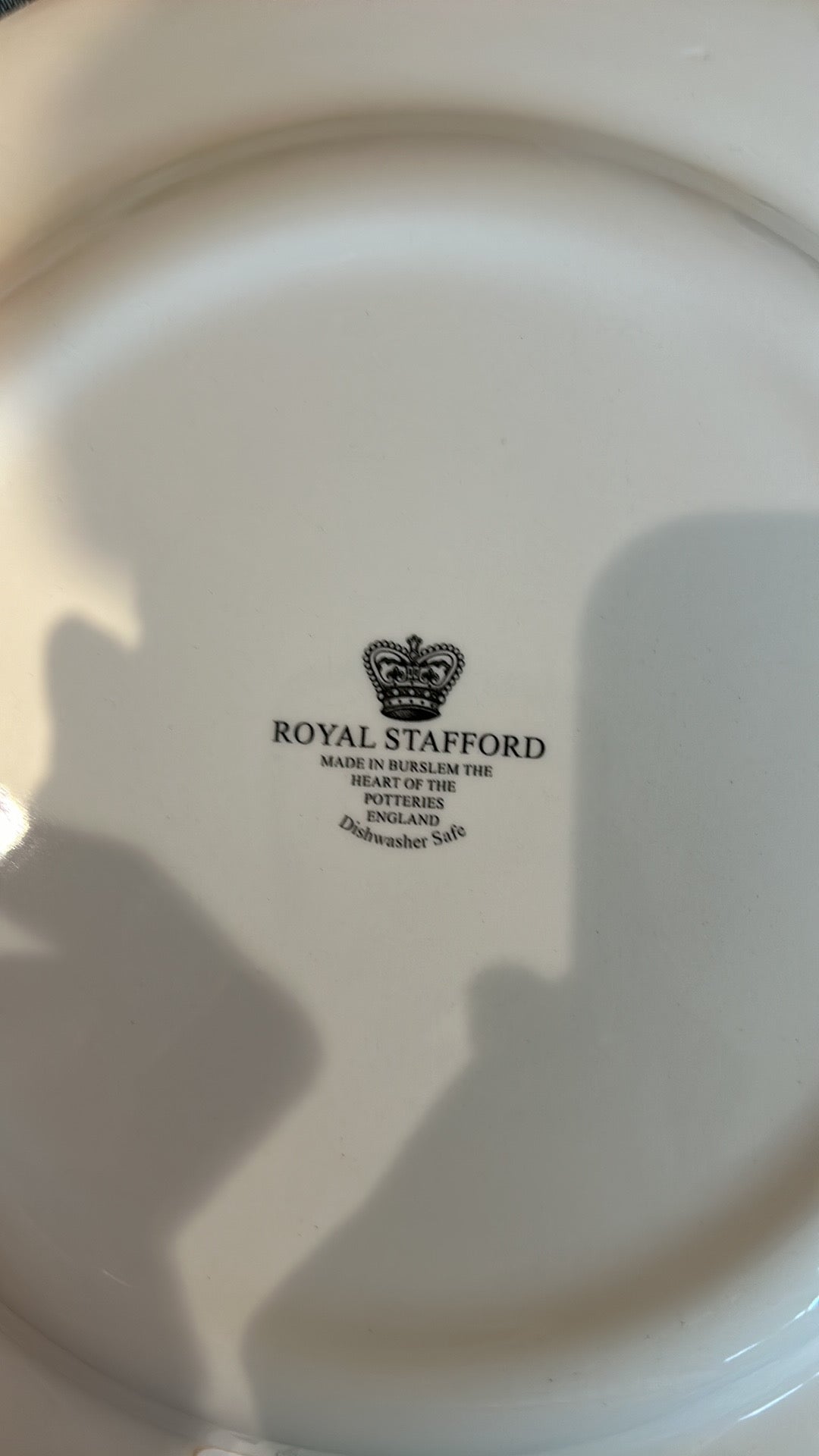 Royal Stafford Chateauneuf du Pape 11“ Dinner Plate Wine Themed Set Of 6 New