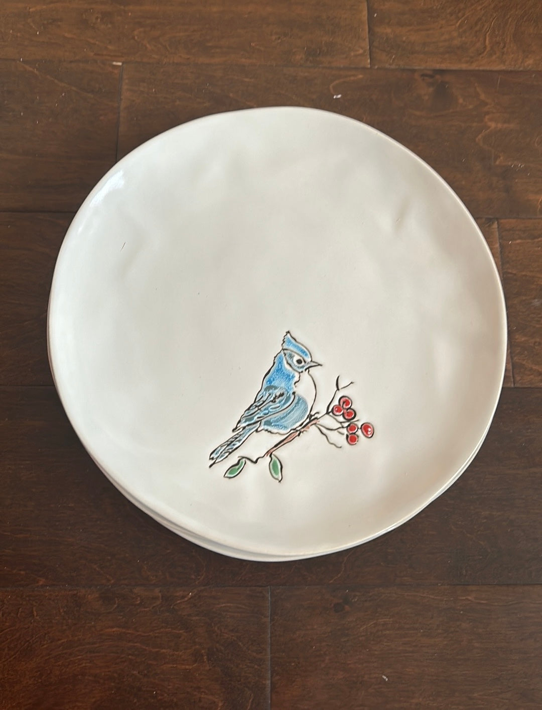 Eli & Ana Set Of 4 Dinner Plates Bluebird New Ceramic 10.5” New