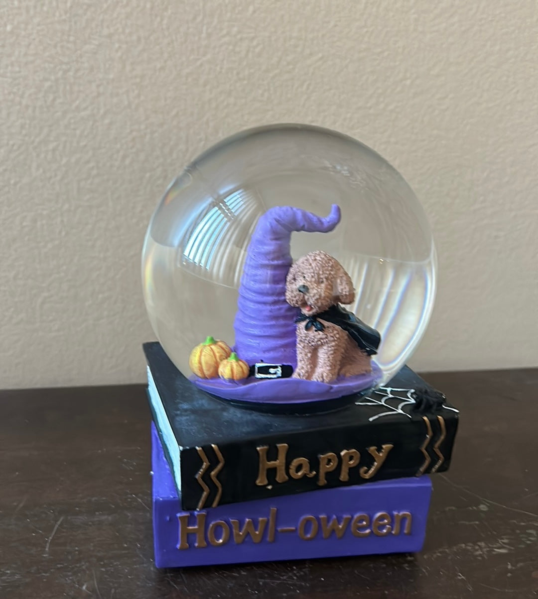 New  Musical Globe Happy Halloween Dog And Witch Cape & Hat Books  New