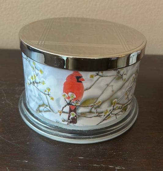 Homeworx By Slatkin & Co Joy Christmas Candle Essential Oils 18 Oz Red Cardinal